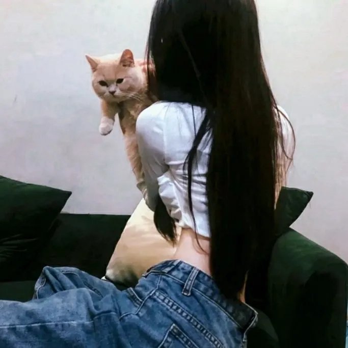 爱情喜剧